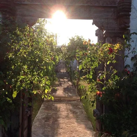 Masseria Boezio Ostuni Bed & Breakfast Torre Santa Sabina