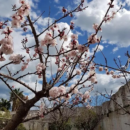 Masseria Boezio Ostuni